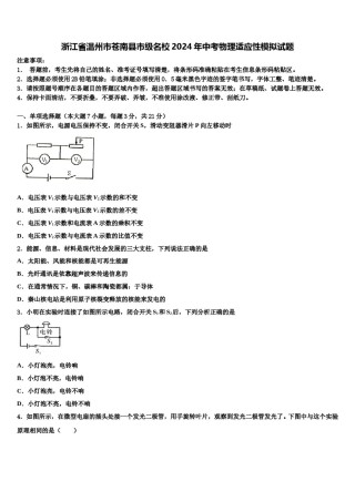 浙江省温州市苍南县市级名校2024年中考物理适应性模拟试题含解析.doc