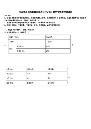 浙江省温州市鹿城区重点名校2024届中考物理押题试卷含解析.doc