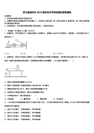 浙江省湖州市2024届毕业升学考试模拟卷物理卷含解析.doc