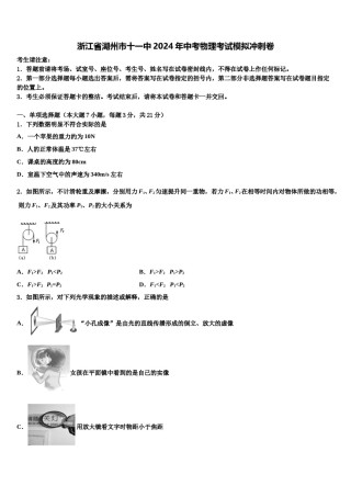 浙江省湖州市十一中2024年中考物理考试模拟冲刺卷含解析.doc
