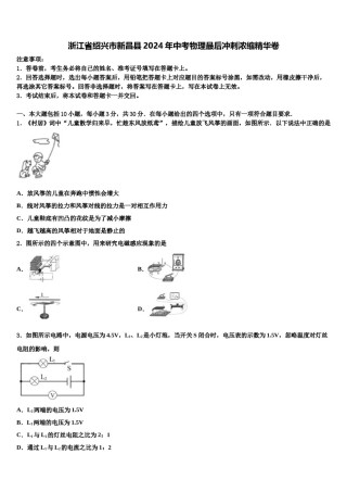浙江省绍兴市新昌县2024年中考物理最后冲刺浓缩精华卷含解析.doc