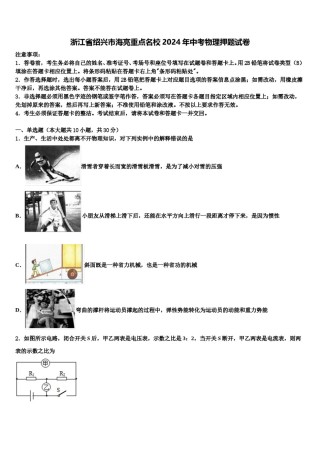 浙江省绍兴市海亮重点名校2024年中考物理押题试卷含解析.doc