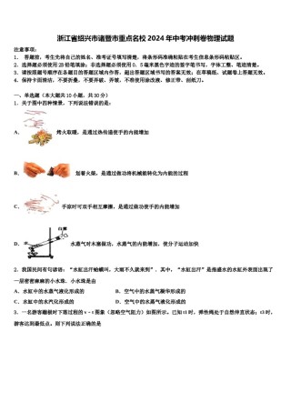 浙江省绍兴市诸暨市重点名校2024年中考冲刺卷物理试题含解析.doc