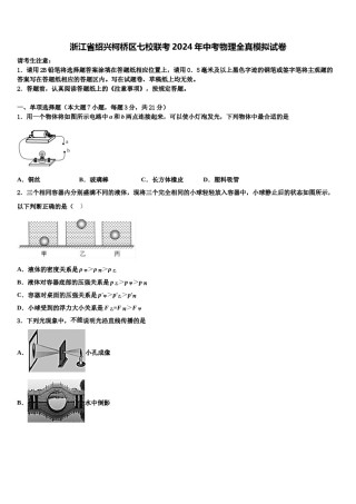 浙江省绍兴柯桥区七校联考2024年中考物理全真模拟试卷含解析.doc