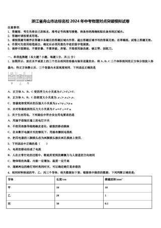 浙江省舟山市达标名校2024年中考物理对点突破模拟试卷含解析.doc