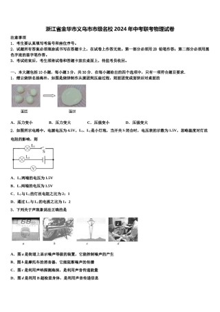 浙江省金华市义乌市市级名校2024年中考联考物理试卷含解析.doc