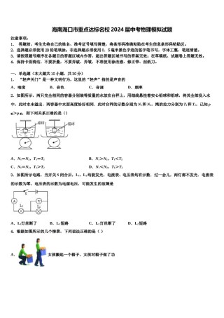 海南海口市重点达标名校2024届中考物理模拟试题含解析.doc