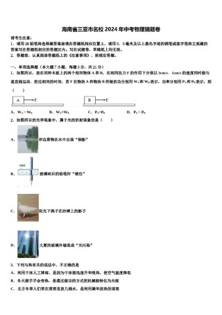 海南省三亚市名校2024年中考物理猜题卷含解析.doc