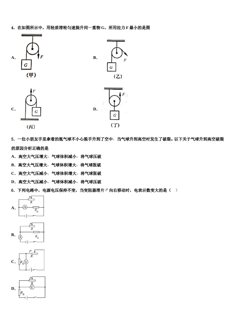 海南省海南师范大附属中学2023-2024学年中考物理模试卷含解析.doc_第2页