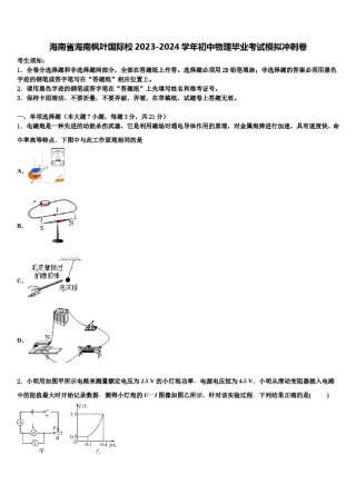 海南省海南枫叶国际校2023-2024学年初中物理毕业考试模拟冲刺卷含解析.doc