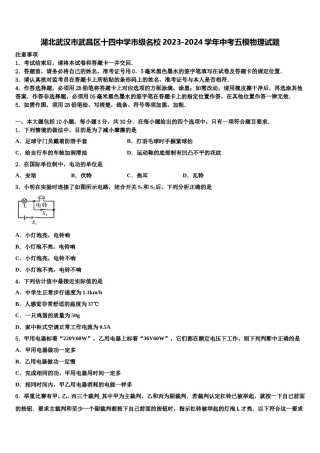 湖北武汉市武昌区十四中学市级名校2023-2024学年中考五模物理试题含解析.doc