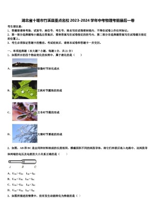 湖北省十堰市竹溪县重点名校2023-2024学年中考物理考前最后一卷含解析.doc