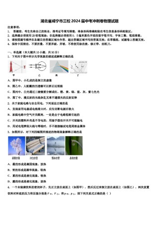 湖北省咸宁市三校2024届中考冲刺卷物理试题含解析.doc