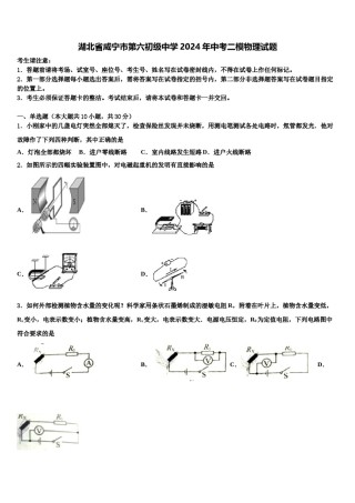 湖北省咸宁市第六初级中学2024年中考二模物理试题含解析.doc