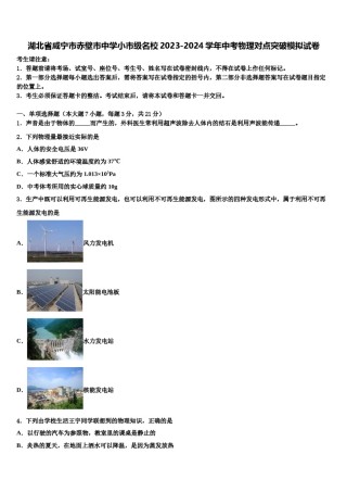 湖北省咸宁市赤壁市中学小市级名校2023-2024学年中考物理对点突破模拟试卷含解析.doc