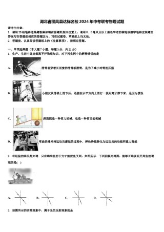 湖北省团风县达标名校2024年中考联考物理试题含解析.doc