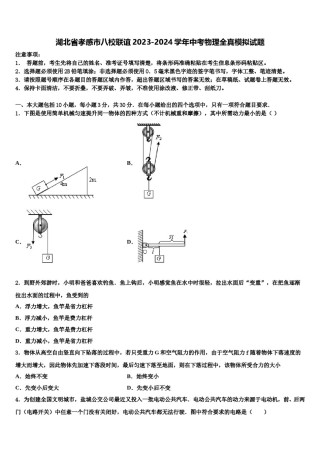 湖北省孝感市八校联谊2023-2024学年中考物理全真模拟试题含解析.doc