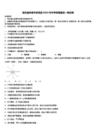 湖北省孝感市孝昌县2024年中考物理最后一模试卷含解析.doc
