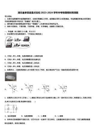 湖北省孝昌县重点名校2023-2024学年中考物理模拟预测题含解析.doc