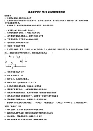 湖北省安陆市2024届中考物理押题卷含解析.doc