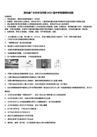 湖北省广水市市马坪镇2024届中考物理模拟试题含解析.doc