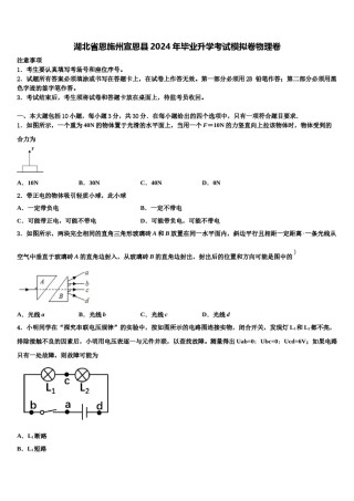 湖北省恩施州宣恩县2024年毕业升学考试模拟卷物理卷含解析.doc