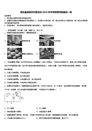 湖北省恩施州市级名校2024年中考物理考前最后一卷含解析.doc