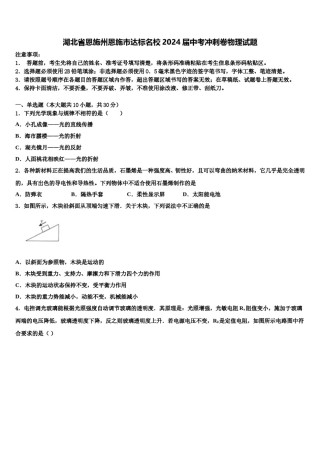湖北省恩施州恩施市达标名校2024届中考冲刺卷物理试题含解析.doc