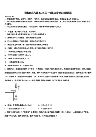 湖北省来凤县2024届中考适应性考试物理试题含解析.doc