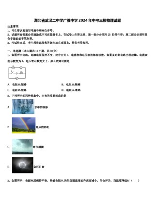 湖北省武汉二中学广雅中学2024年中考三模物理试题含解析.doc