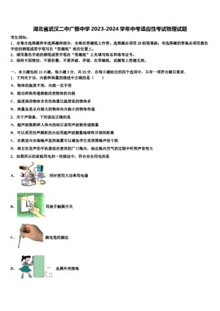 湖北省武汉二中广雅中学2023-2024学年中考适应性考试物理试题含解析.doc