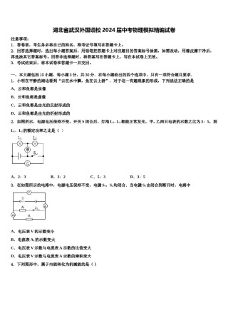 湖北省武汉外国语校2024届中考物理模拟精编试卷含解析.doc