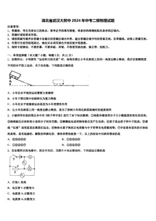湖北省武汉大附中2024年中考二模物理试题含解析.doc