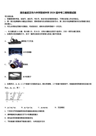 湖北省武汉市六中学致诚中学2024届中考二模物理试题含解析.doc