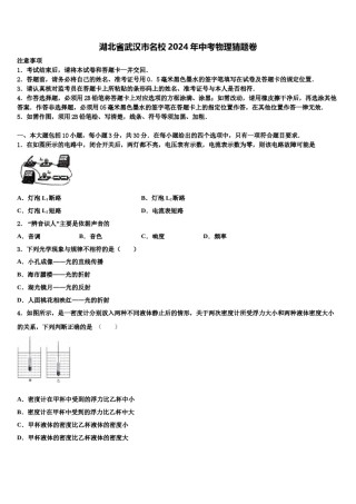 湖北省武汉市名校2024年中考物理猜题卷含解析.doc