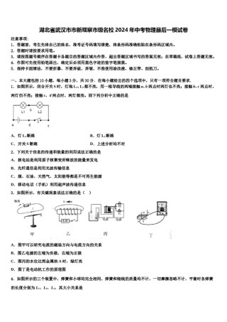湖北省武汉市市新观察市级名校2024年中考物理最后一模试卷含解析.doc