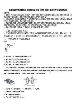 湖北省武汉市武昌区C组联盟市级名校2023-2024学年中考三模物理试题含解析.doc