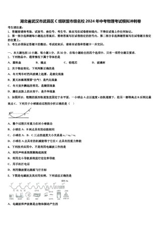 湖北省武汉市武昌区C组联盟市级名校2024年中考物理考试模拟冲刺卷含解析.doc