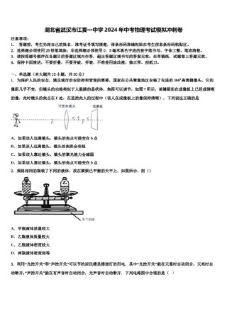 湖北省武汉市江夏一中学2024年中考物理考试模拟冲刺卷含解析.doc