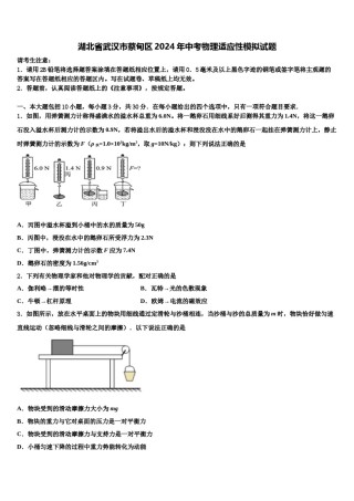 湖北省武汉市蔡甸区2024年中考物理适应性模拟试题含解析.doc