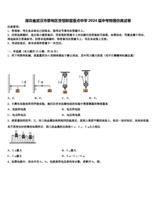 湖北省武汉市蔡甸区誉恒联盟重点中学2024届中考物理仿真试卷含解析.doc