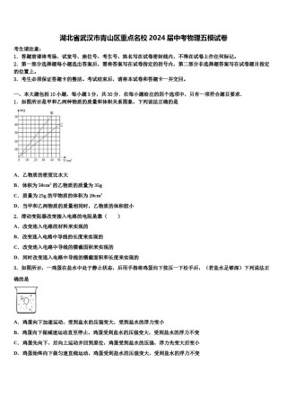 湖北省武汉市青山区重点名校2024届中考物理五模试卷含解析.doc