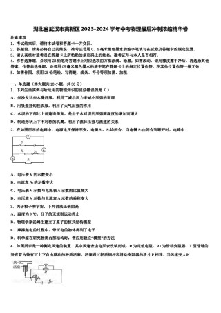 湖北省武汉市高新区2023-2024学年中考物理最后冲刺浓缩精华卷含解析.doc