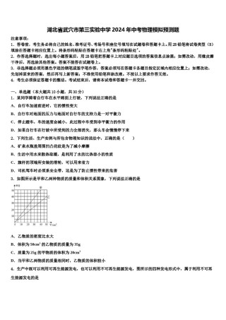 湖北省武穴市第三实验中学2024年中考物理模拟预测题含解析.doc