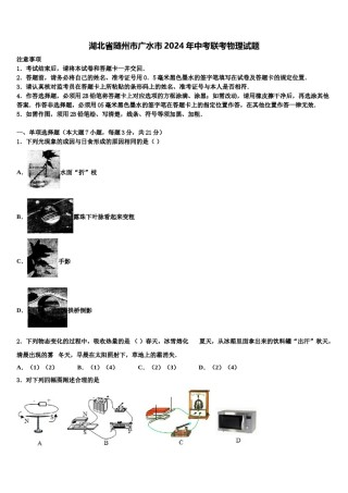 湖北省随州市广水市2024年中考联考物理试题含解析.doc