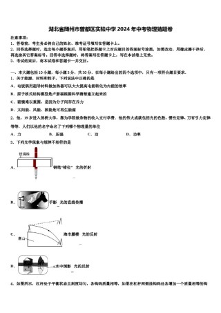 湖北省随州市曾都区实验中学2024年中考物理猜题卷含解析.doc