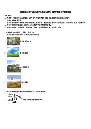 湖北省麻城市张家畈镇中学2024届中考联考物理试题含解析.doc