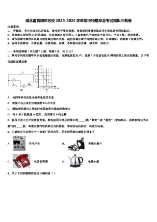 湖北省黄冈市五校2023-2024学年初中物理毕业考试模拟冲刺卷含解析.doc