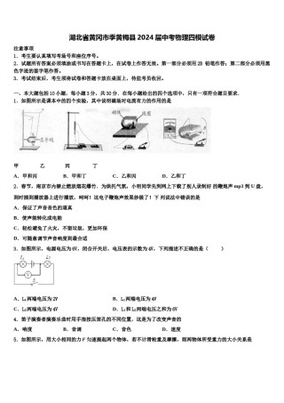 湖北省黄冈市季黄梅县2024届中考物理四模试卷含解析.doc