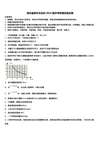 湖北省黄石市名校2024届中考物理仿真试卷含解析.doc